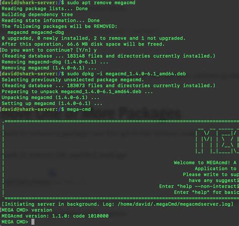 MEGA CMD .